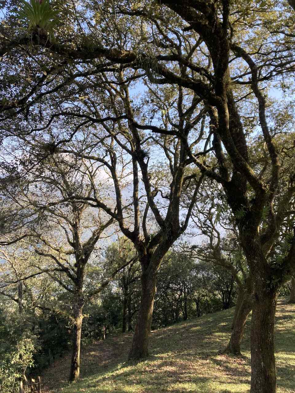 Lugar o ruta turística de Tlacuilotepec